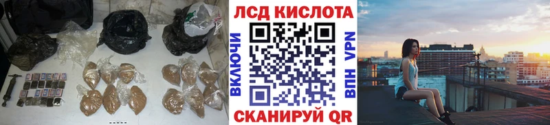 kraken как войти Лодейное Поле ЛСД экстази кислота